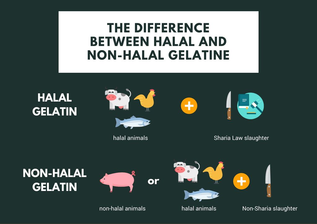 News - Halal Gelatin Types and Benefits: A Comprehensive Overview